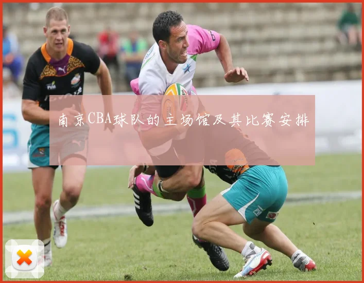 南京CBA球队的主场馆及其比赛安排