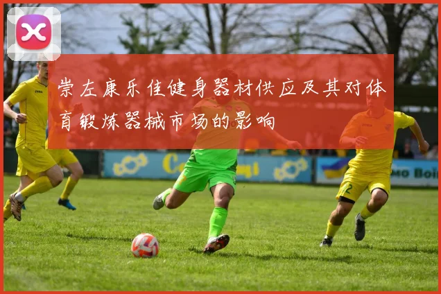 崇左康乐佳健身器材供应及其对体育锻炼器械市场的影响