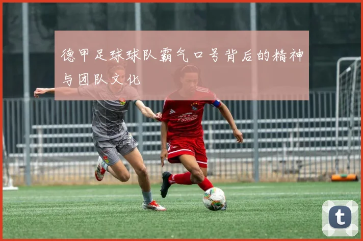 德甲足球球队霸气口号背后的精神与团队文化