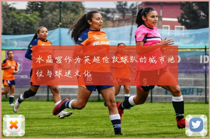 水晶宫作为英超伦敦球队的城市地位与球迷文化